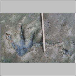 100_1004 (2009-28-07)m.jpg